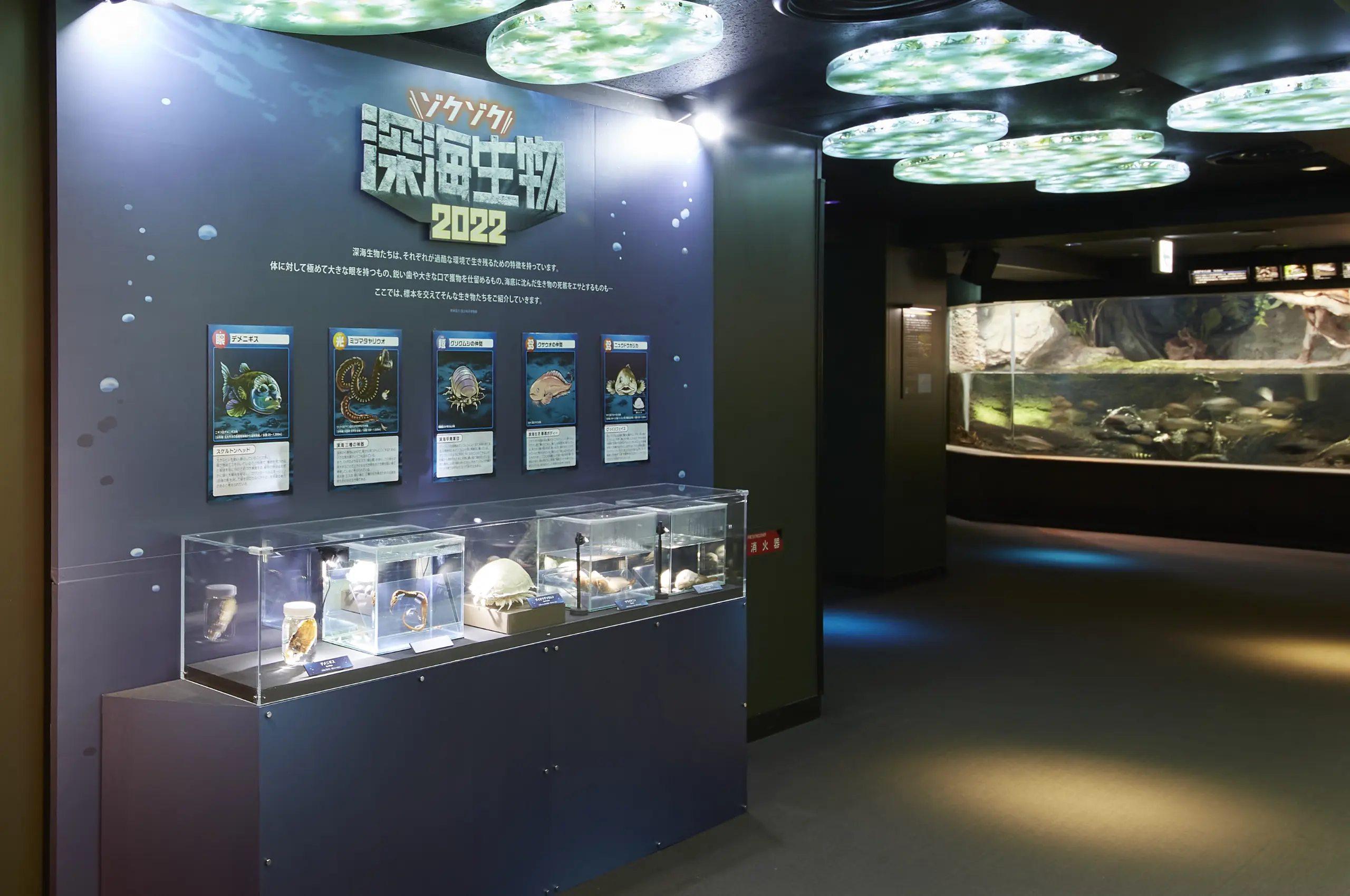 コンセプトビジュアル